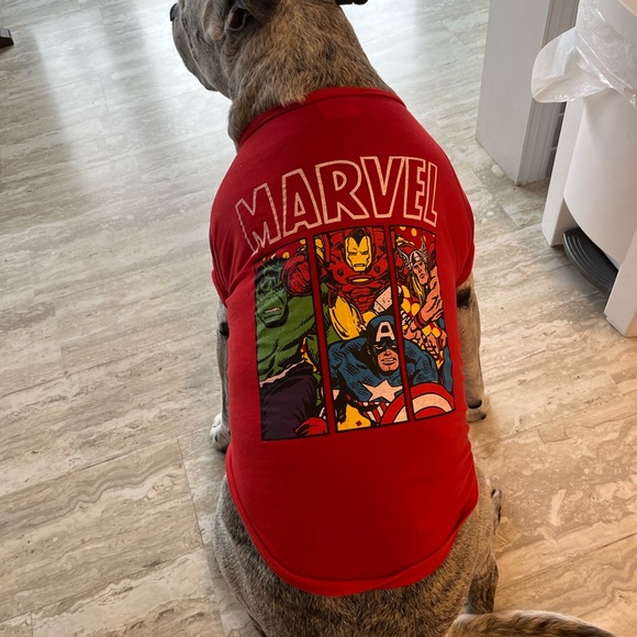 Dogs marvel tshirt - Picture 10 of 10